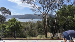 Mooney House – 砍树